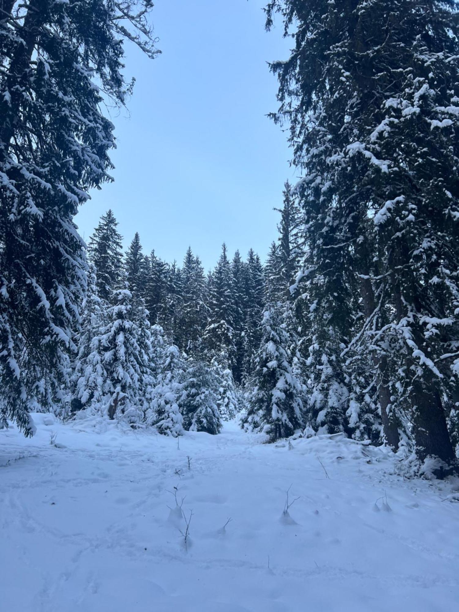 Aura Karpat Bukovel Exterior foto